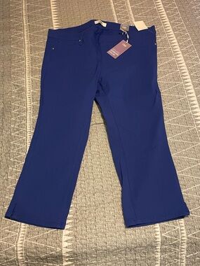 YMI Blue Stretch Cropped Pants NWT